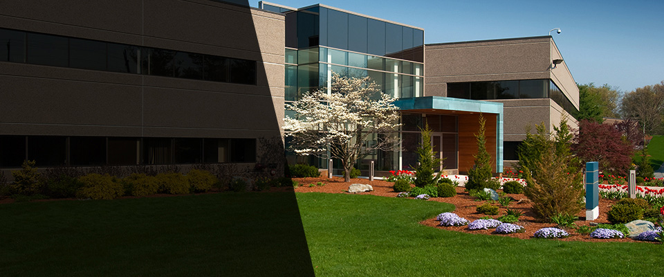 New Bedford Landscapers