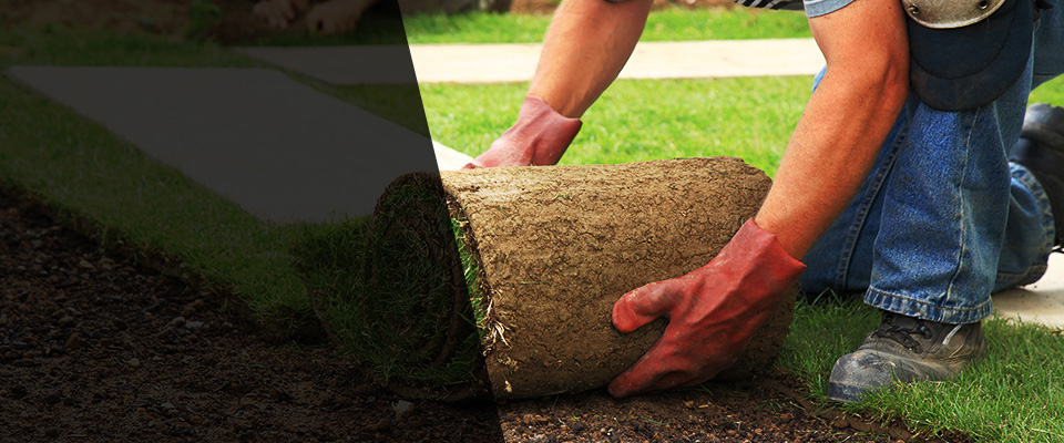 New Bedford Landscapers